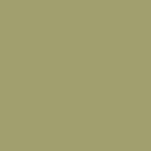 Roller Blinds - Bella Glade