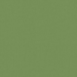 Roller Blinds - Bella Grama
