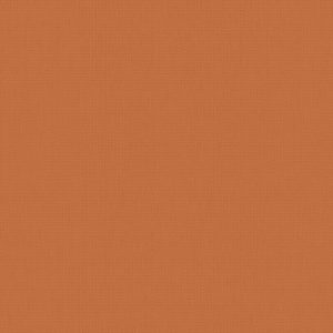 Roller Blinds - Bella Tango