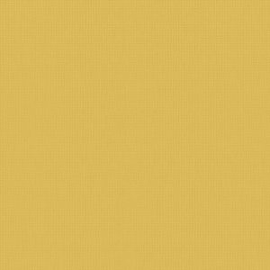 Roller Blinds - Arona FR Ray