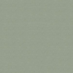 Roller Blinds - Hayworth Fern