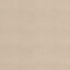 Roller Blinds - Metz Ivory