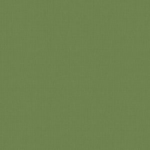 Roller Blinds - Arona Verde