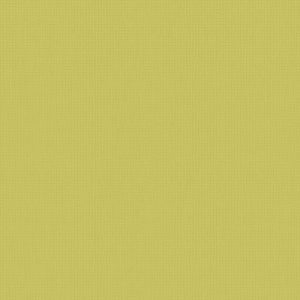 Roller Blinds - Arona Zest